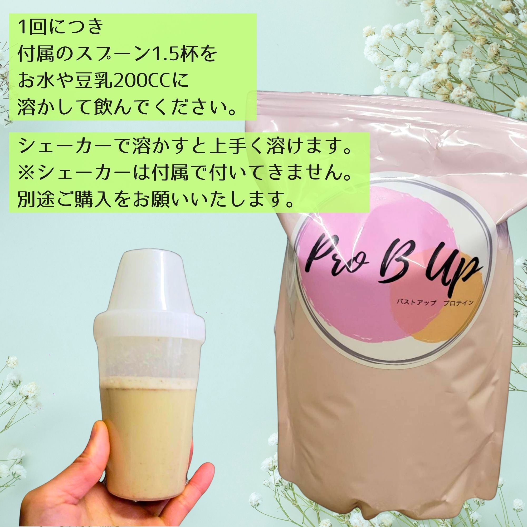 バストアッププロテインPro B Up（プロビーアップ）1,000g│日本初の