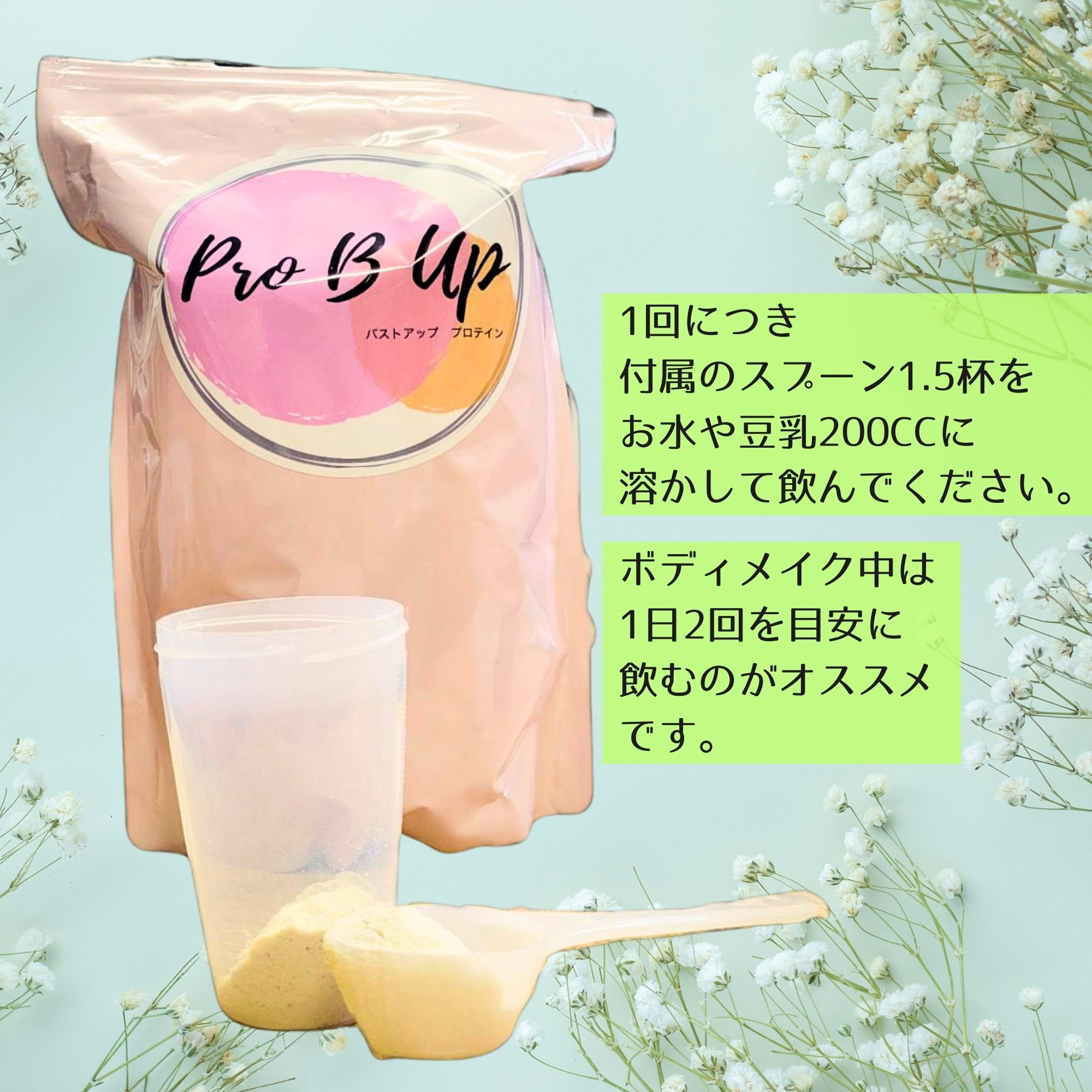 バストアッププロテインPro B Up（プロビーアップ）1,000g│日本初の