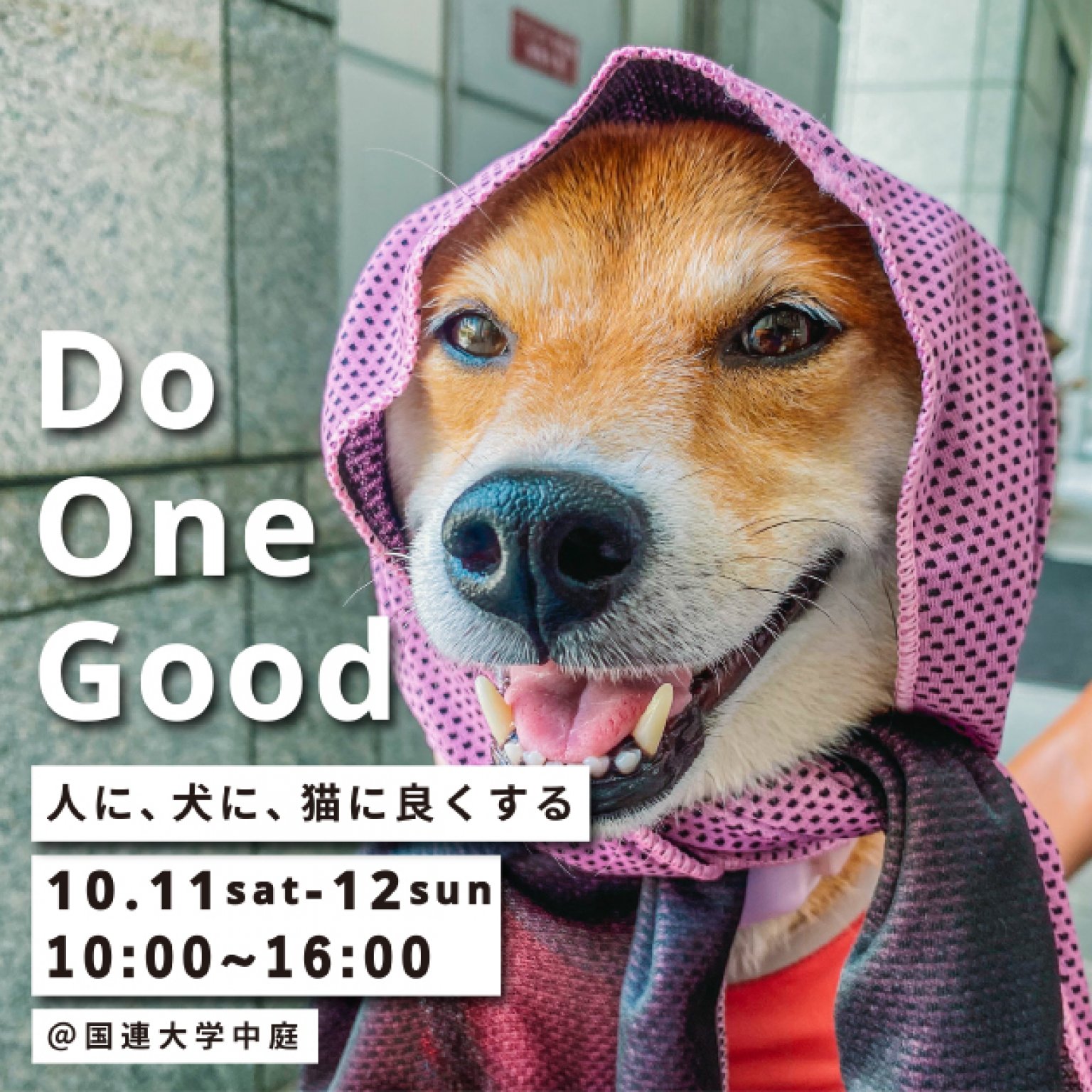 出店料１日（１ブース）10/11・12