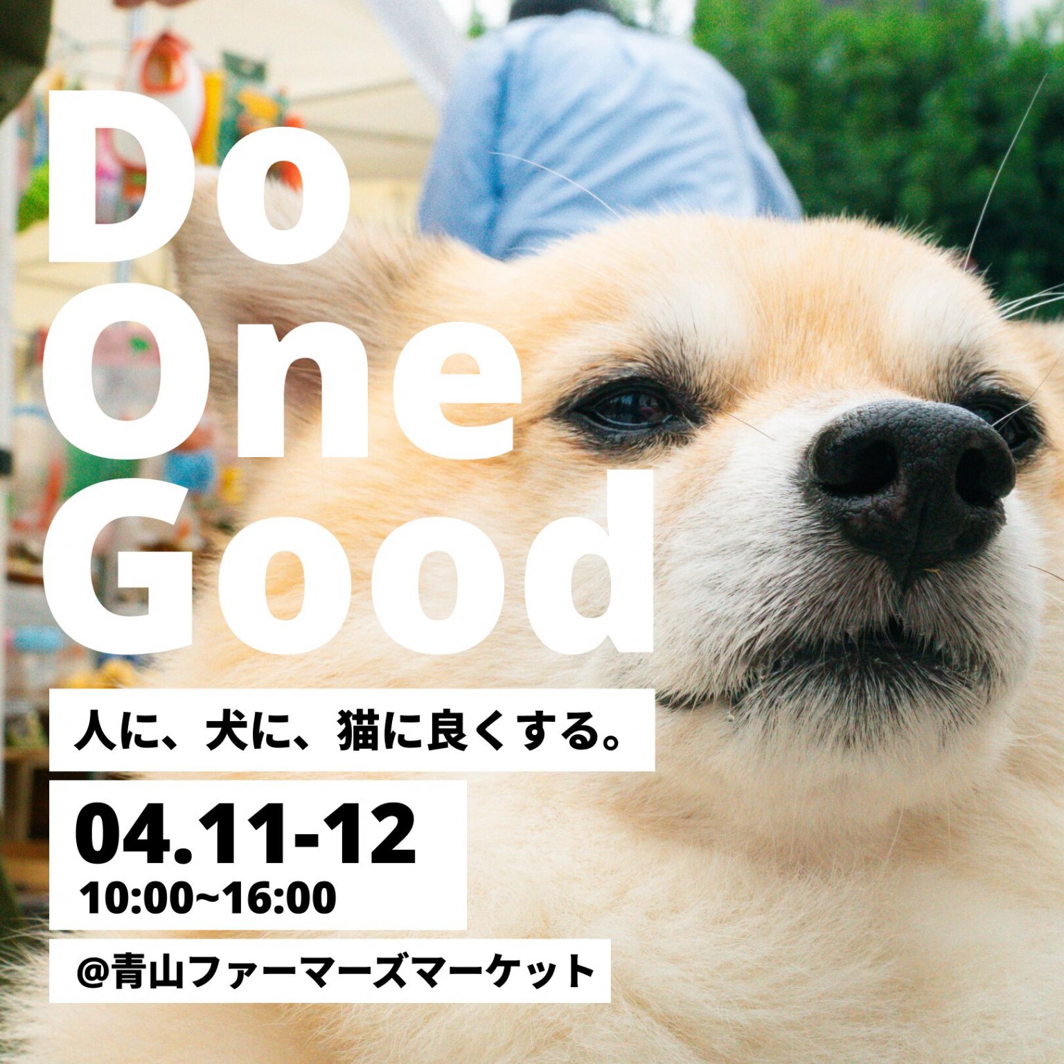 出店料１日（１ブース）4/11・12