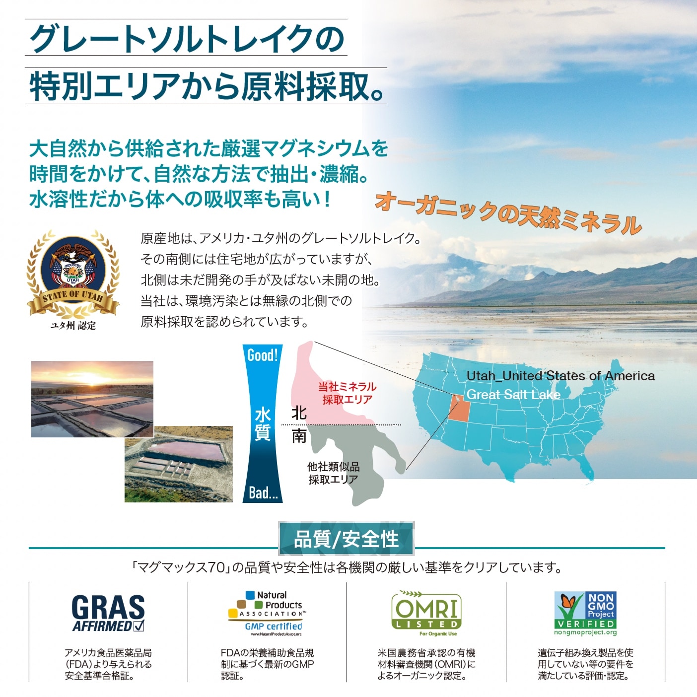 高濃度マグネシウム【MgMax70】（マグマックス70）オーガニック認定済