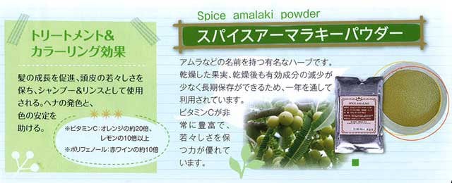 トリートメントアーマラキー アムラ IPMヘナ ハーブ スパイスアーマ