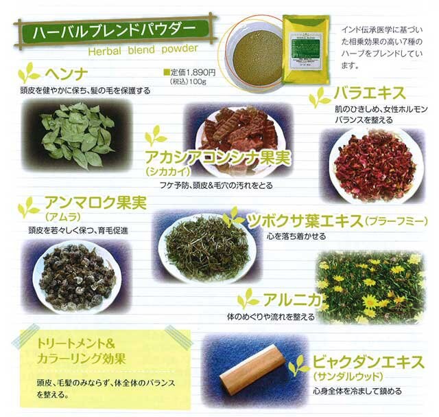 IPMヘナ ハーブ ハーバルブレンドパウダー 100g インド産 天然100