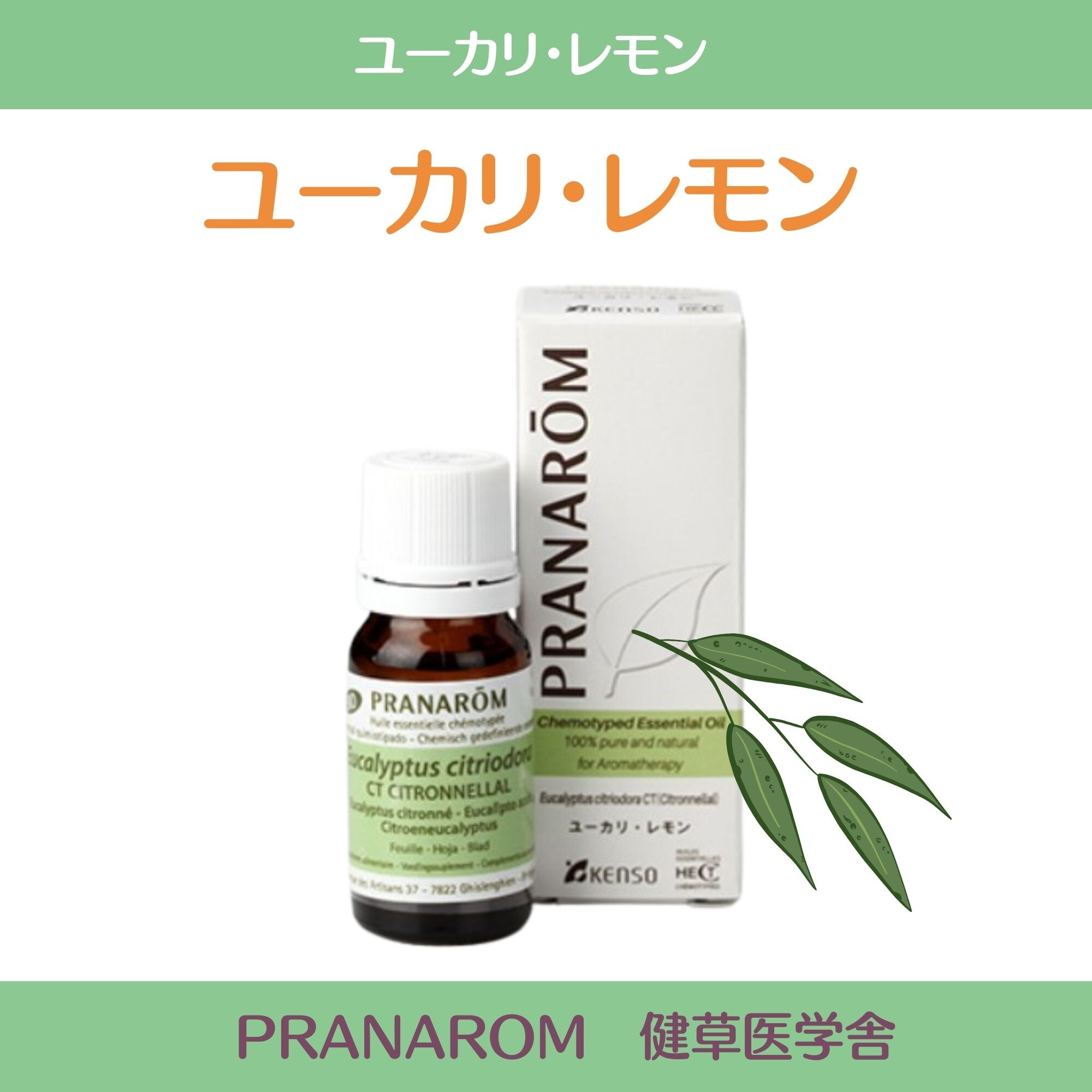 ユーカリ・レモン精油 プラナロム社 ケモタイプ精油 安心 アロマ
