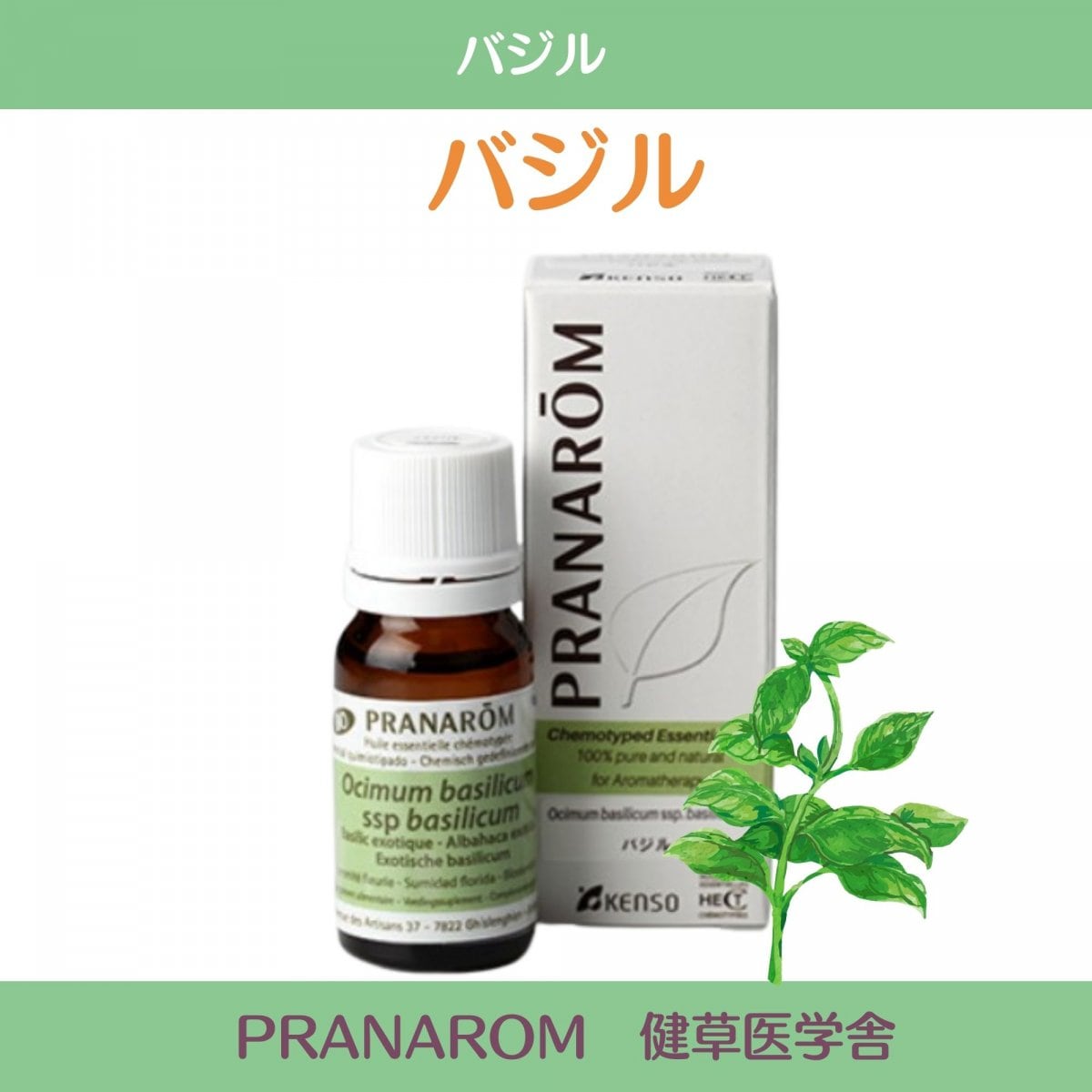ウインターグリーン精油　プラナロム社 ケモタイプ精油　安心 アロマテラピーのための天然・無添加のオーガニックエッセンシャルオイル ウインターグリーン/ケモタイプ精油成分分析表付|ウインターグリーン|PRANAROM 健草医学舎 　10ml