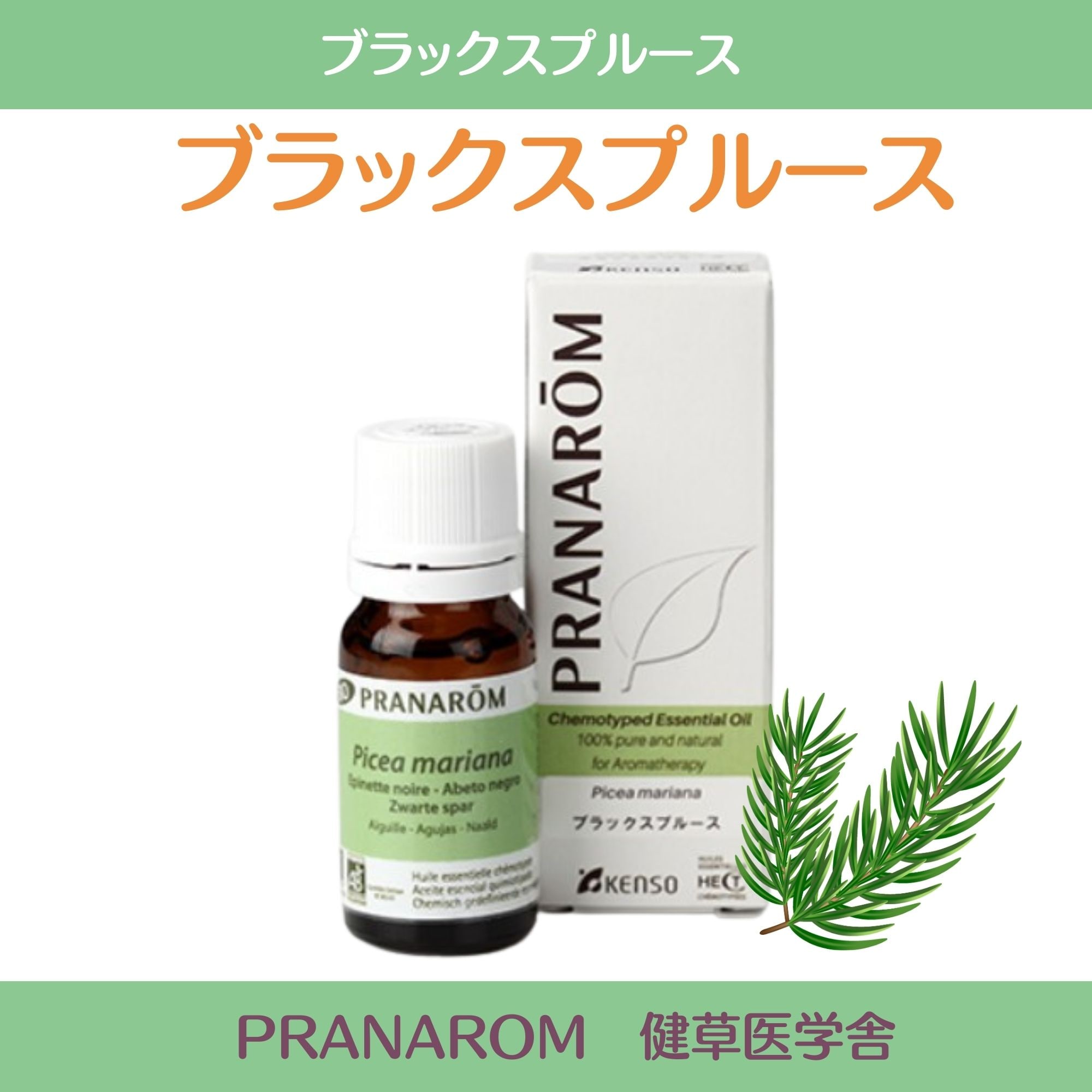 ブラックスプルース精油 プラナロム社 ケモタイプ精油 安心 アロマ