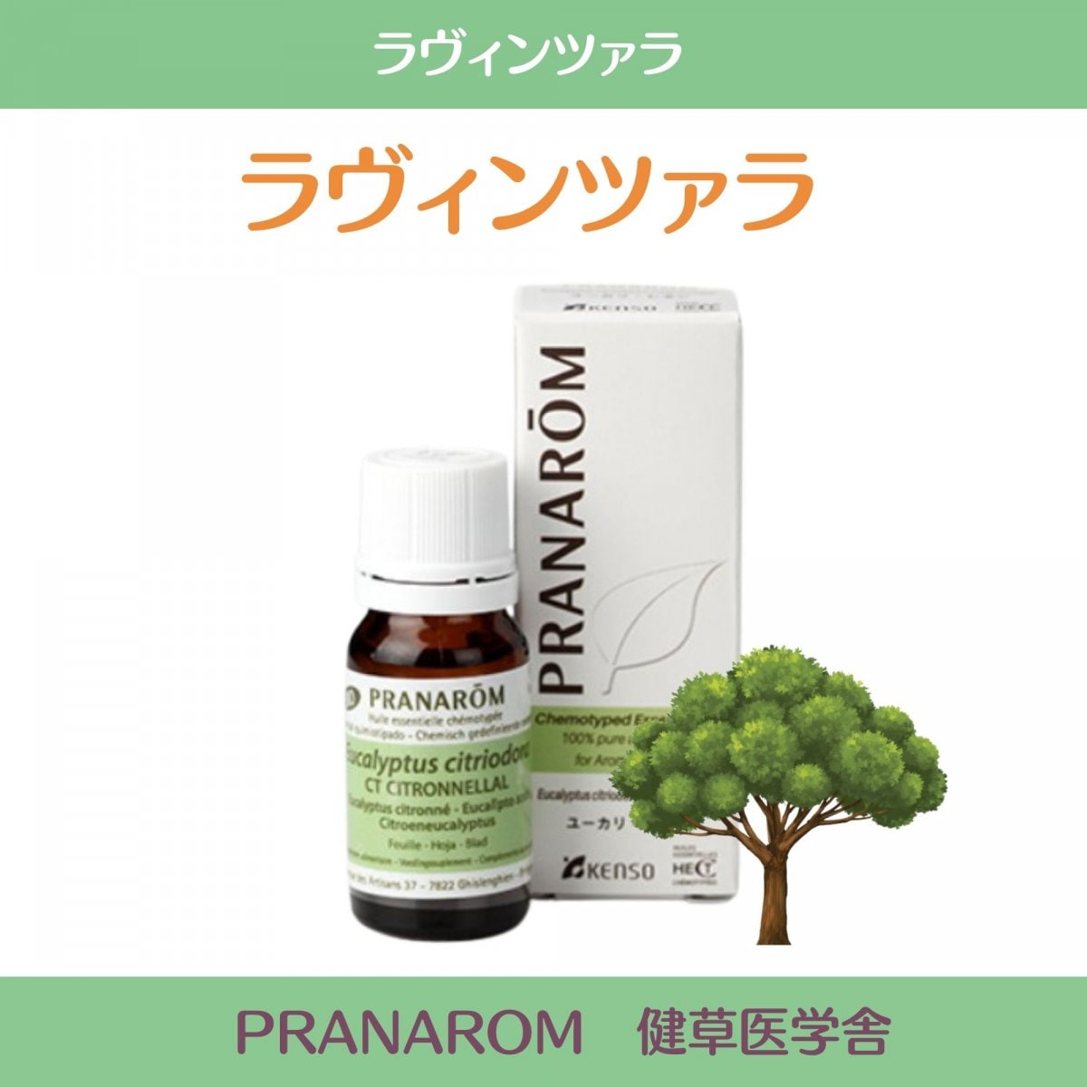 ラヴィンツァラ精油　プラナロム社 ケモタイプ精油　安心 アロマテラピーのための天然・無添加のオーガニックエッセンシャルオイルラヴィンツァラケモタイプ精油成分分析表付|ラヴィンツァラ|PRANAROM 健草医学舎 　10ml