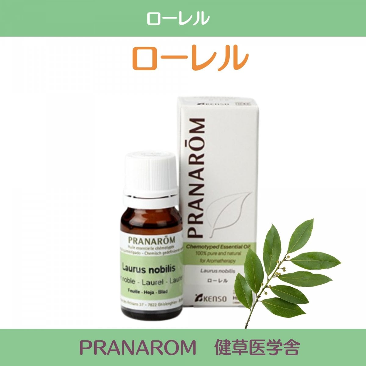 ローレル精油　プラナロム社 ケモタイプ精油　安心 アロマテラピーのための天然・無添加のオーガニックエッセンシャルオイル ローレルケモタイプ精油成分分析表付|ローレル|PRANAROM 健草医学舎 　10ml