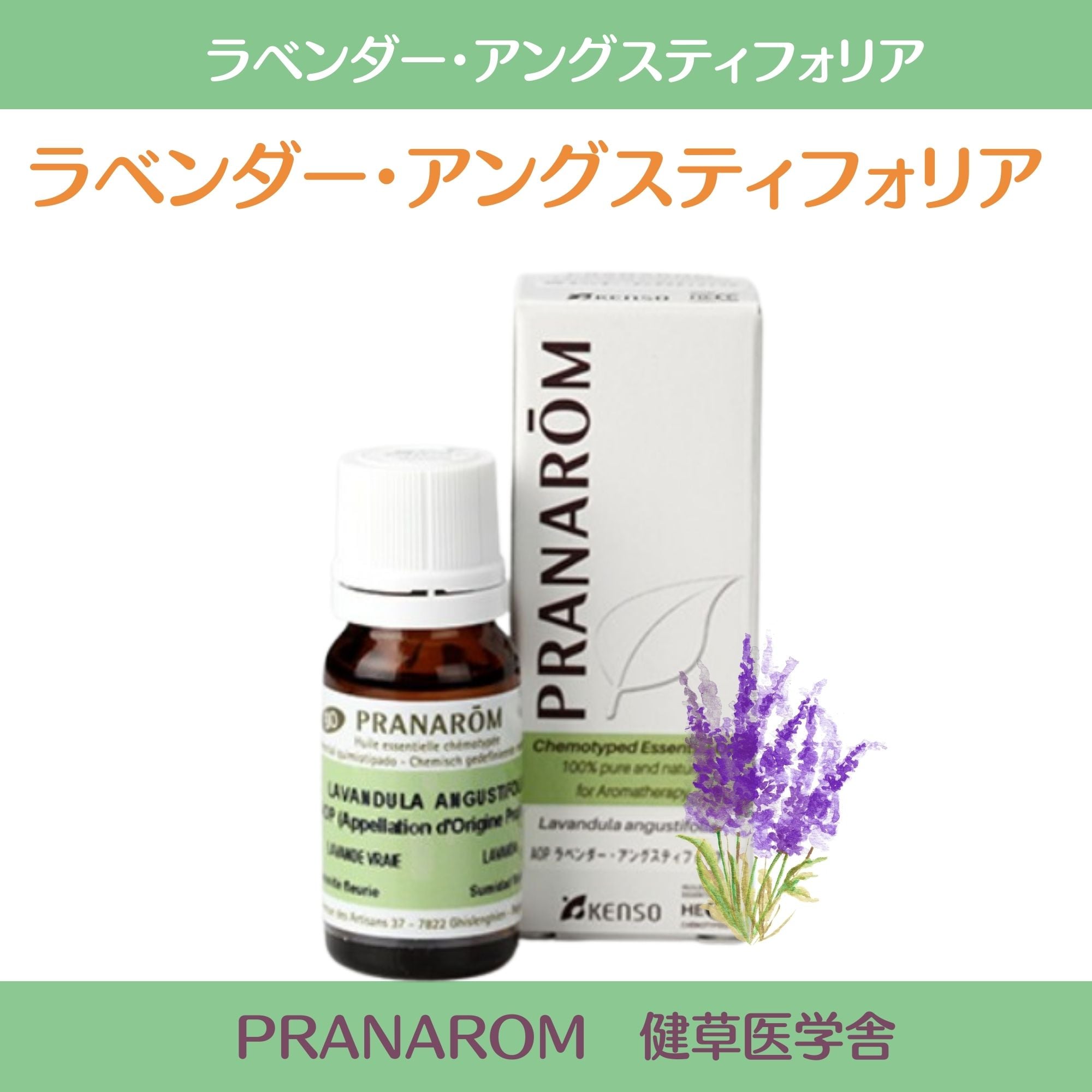 【リーナさま】PRANAROM ラベンダーアングスティフォリア BIO 精油 ラベンダー・アングスティフォリア – プラナロム エッセンシャルオイル