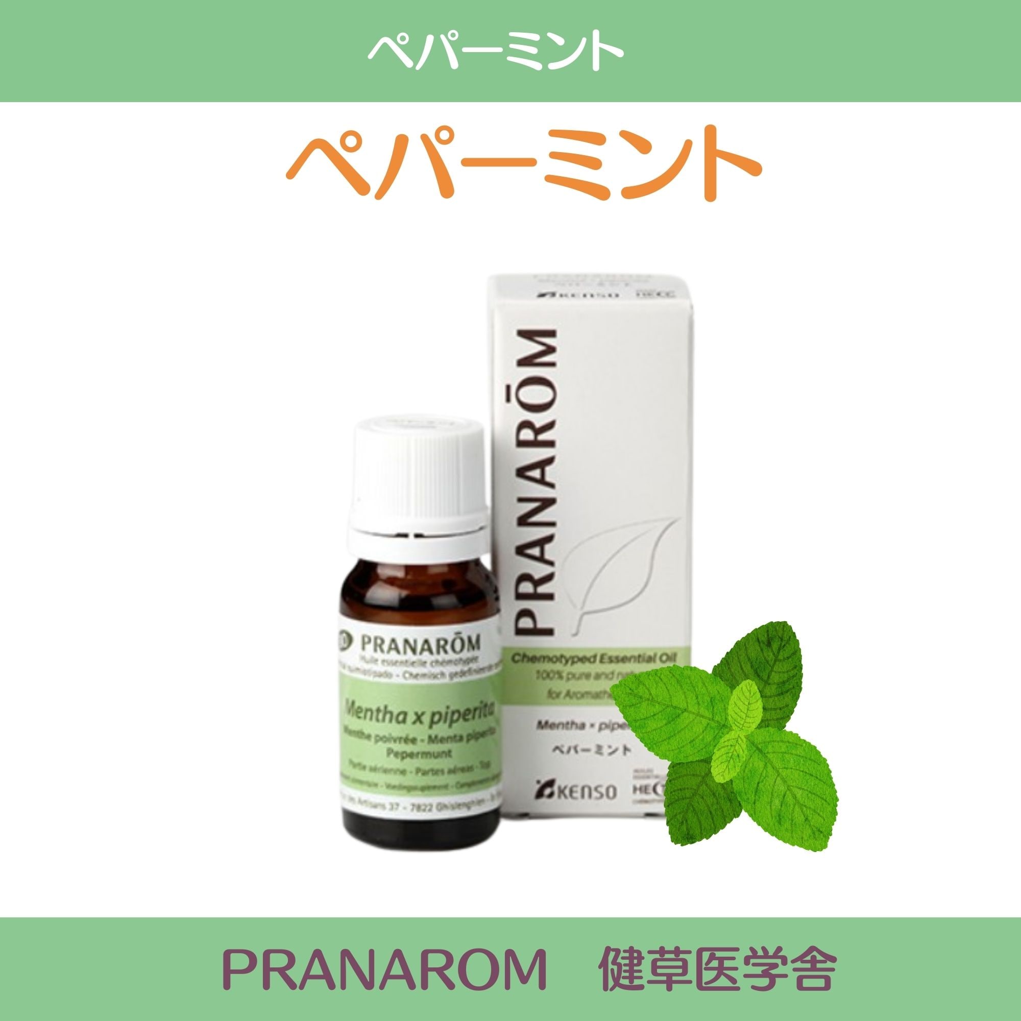 ペパーミント10ml 他7本セット プラナロム PRANAROM精油 ペパーミント [10ml] | perfume onlineshop