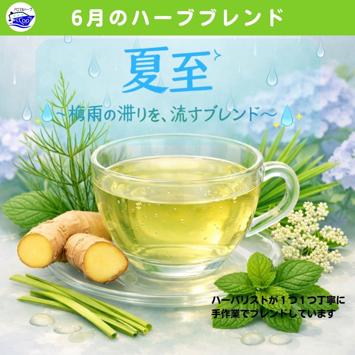 6月限定販売 COOオリジナルブレンド ハーブティーお徳用30P入り|「夏至・雨しずく茶」|〜梅雨の滞りを、流すブレンド〜|すぎんs・ローズマリーなどブレンド