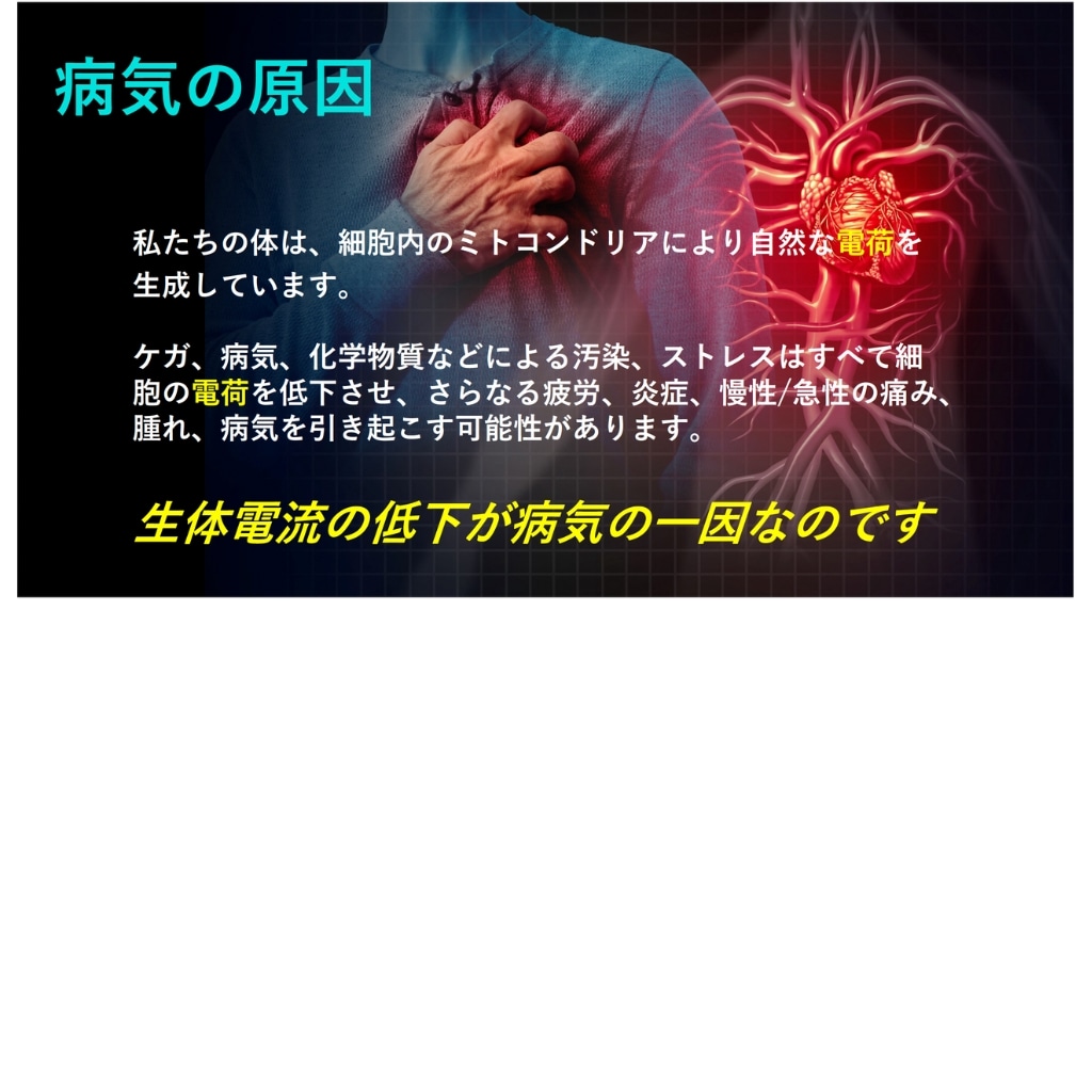 オリーライフ社／理学療法機器P90