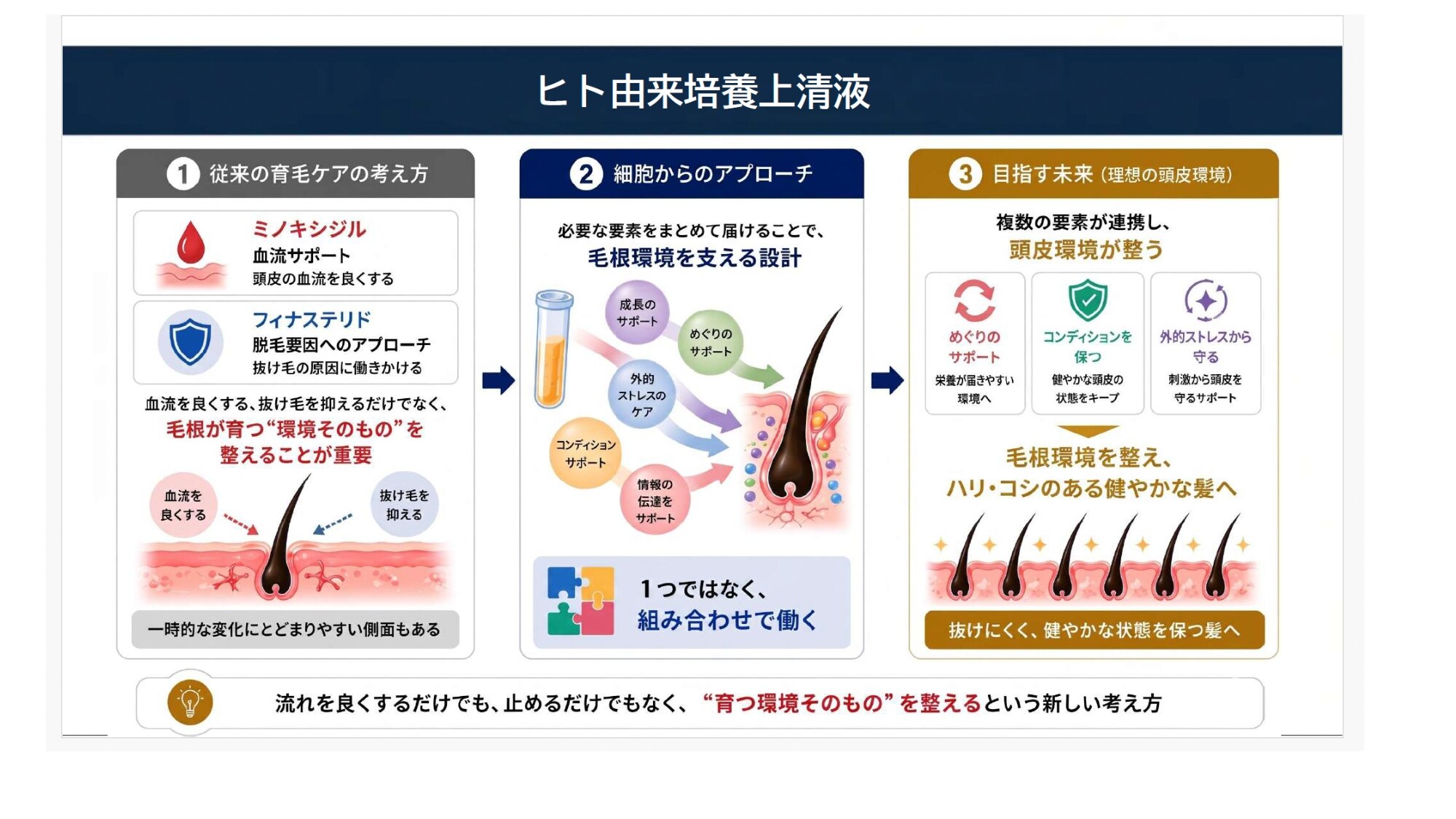 FHエッセンス 2本 髪バックセットでふさふさ （ 医療用ダーマローラー vi-bo デンシ