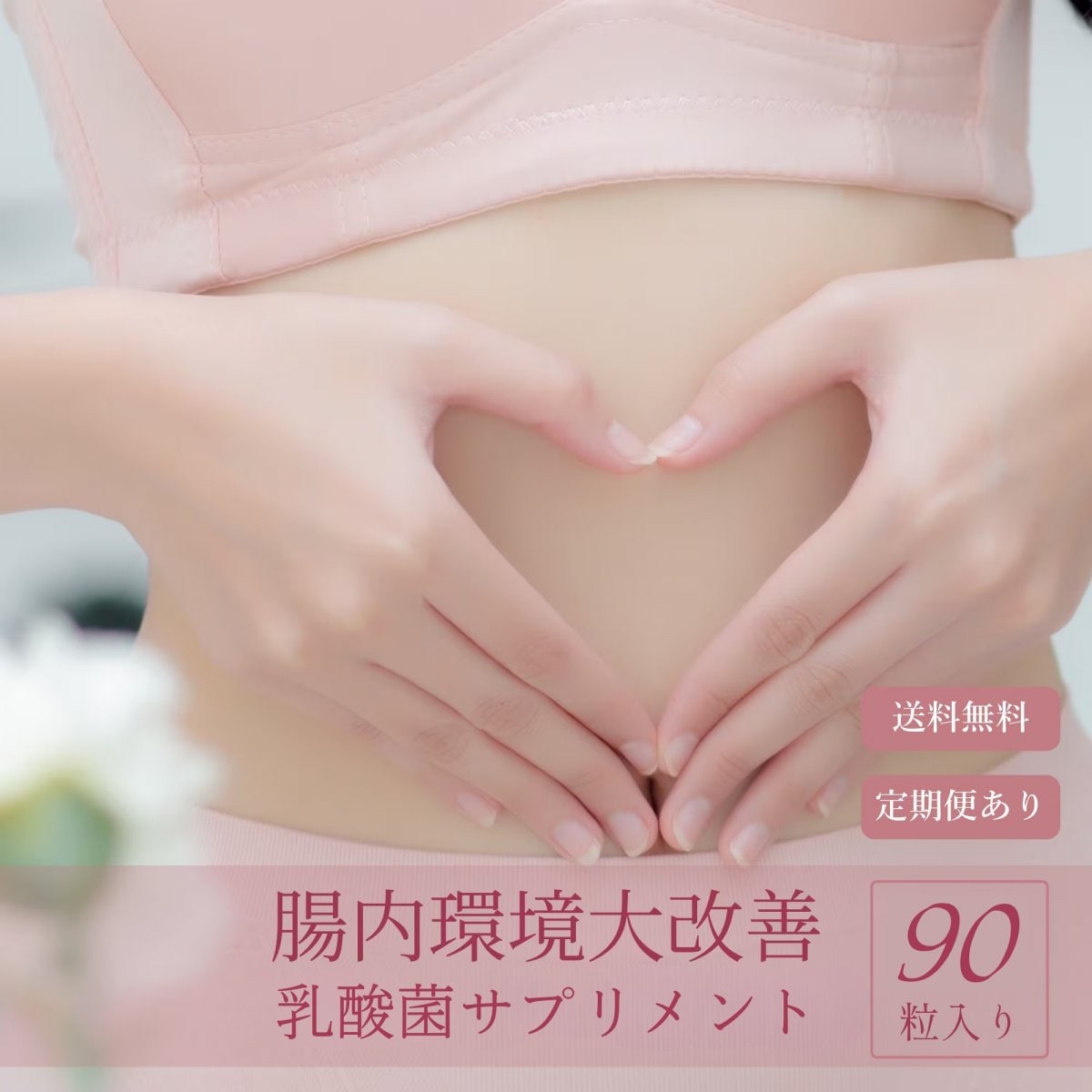 腸内環境大改造 機能性乳酸菌90粒