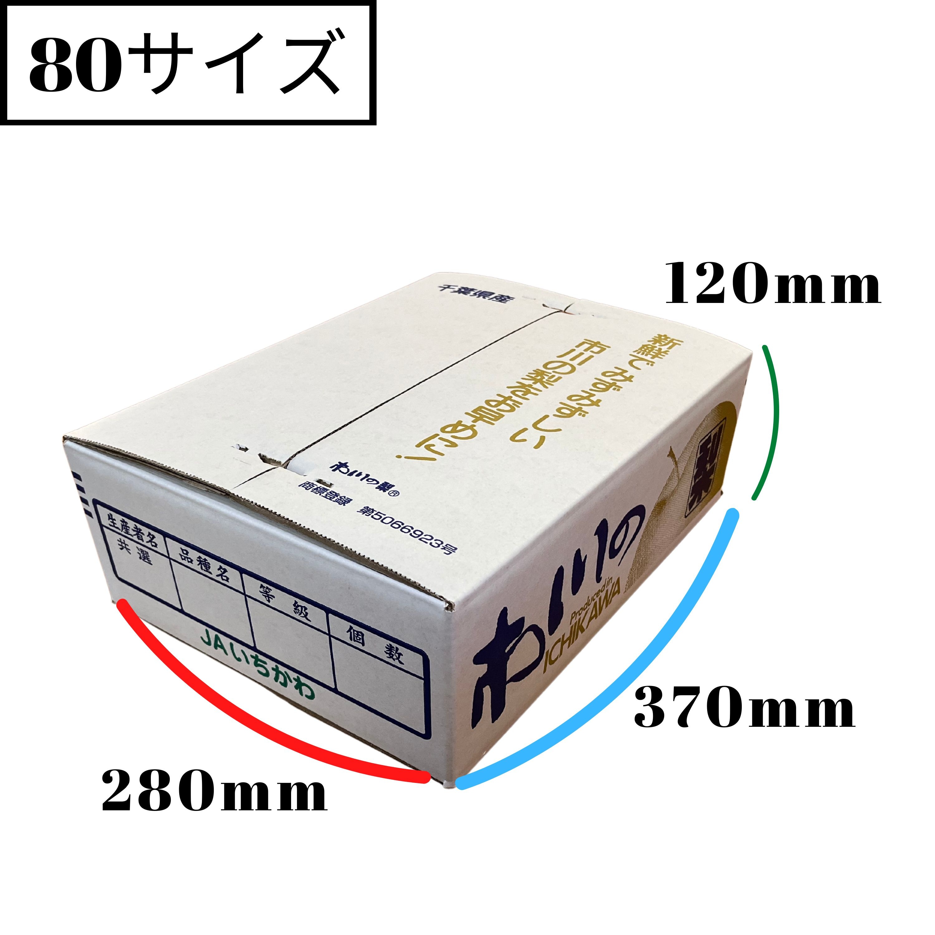 予約】幸水｜約3㎏｜ご自宅用｜訳あり品｜B級品｜送料込み（沖縄県を除く）