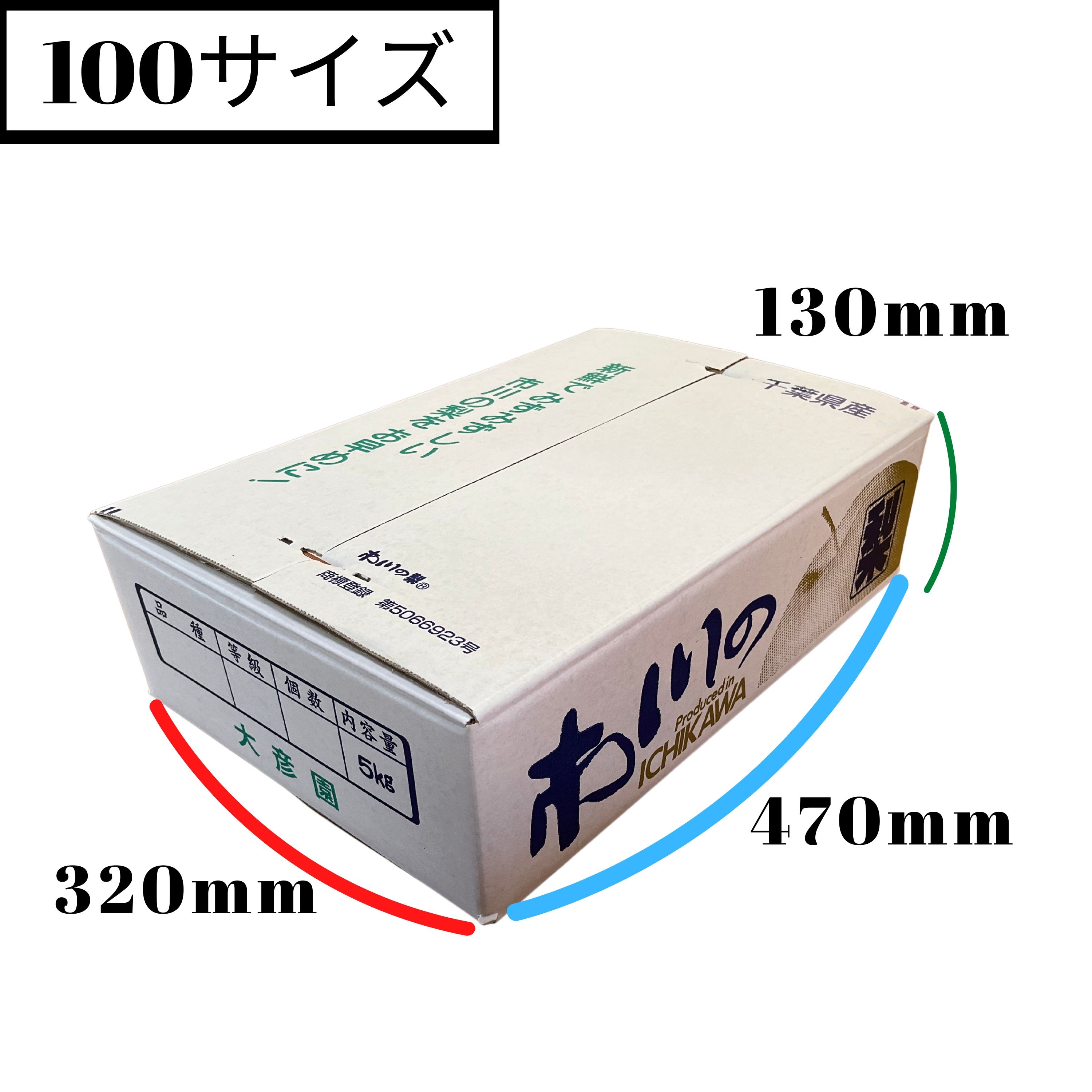 千葉産梨豊水1箱5kg大2箱まとめてお買得 楽天市場】梨 千葉 5kgの通販