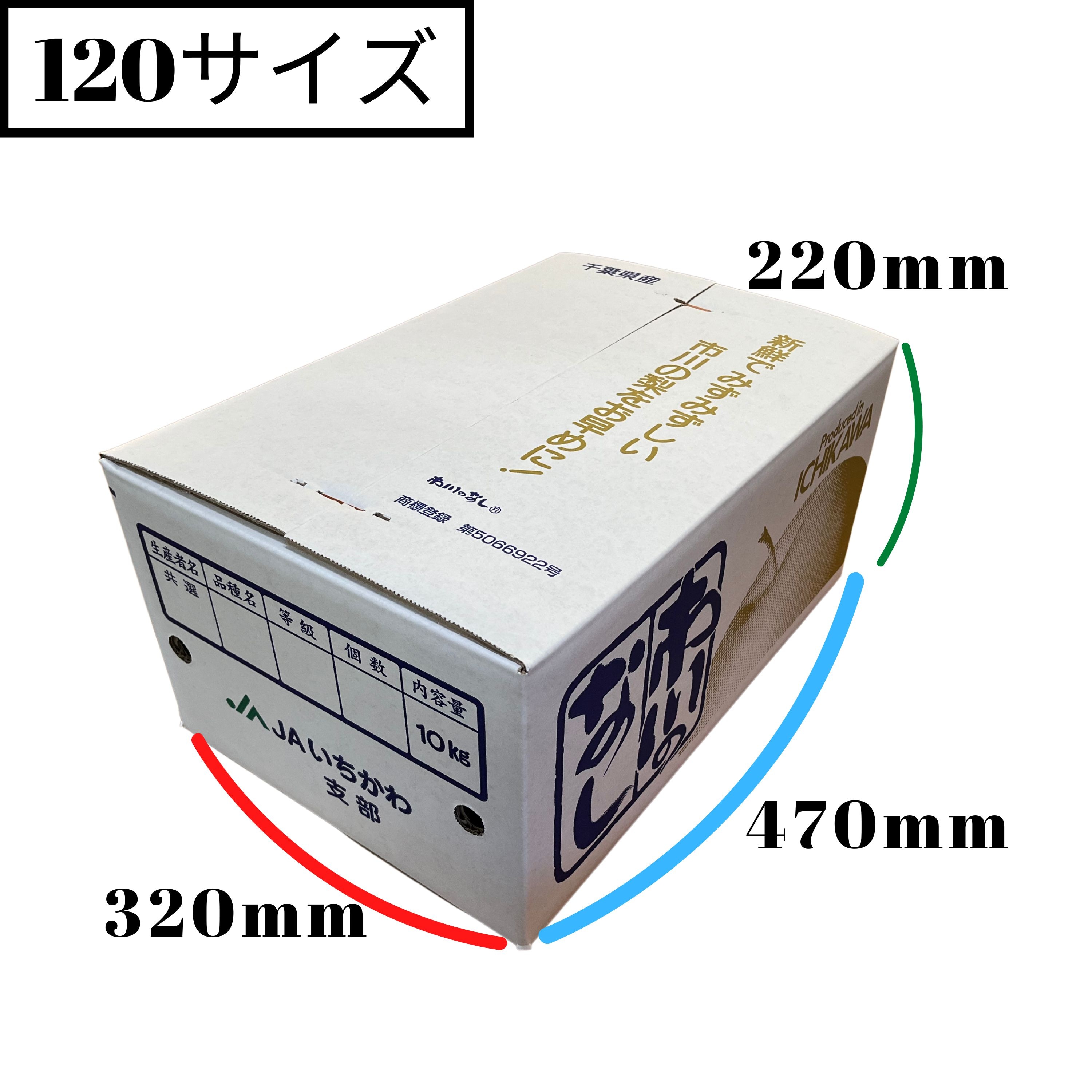 予約】豊水｜約10㎏｜ご自宅用｜訳あり品｜B級品｜送料込み（沖縄県を