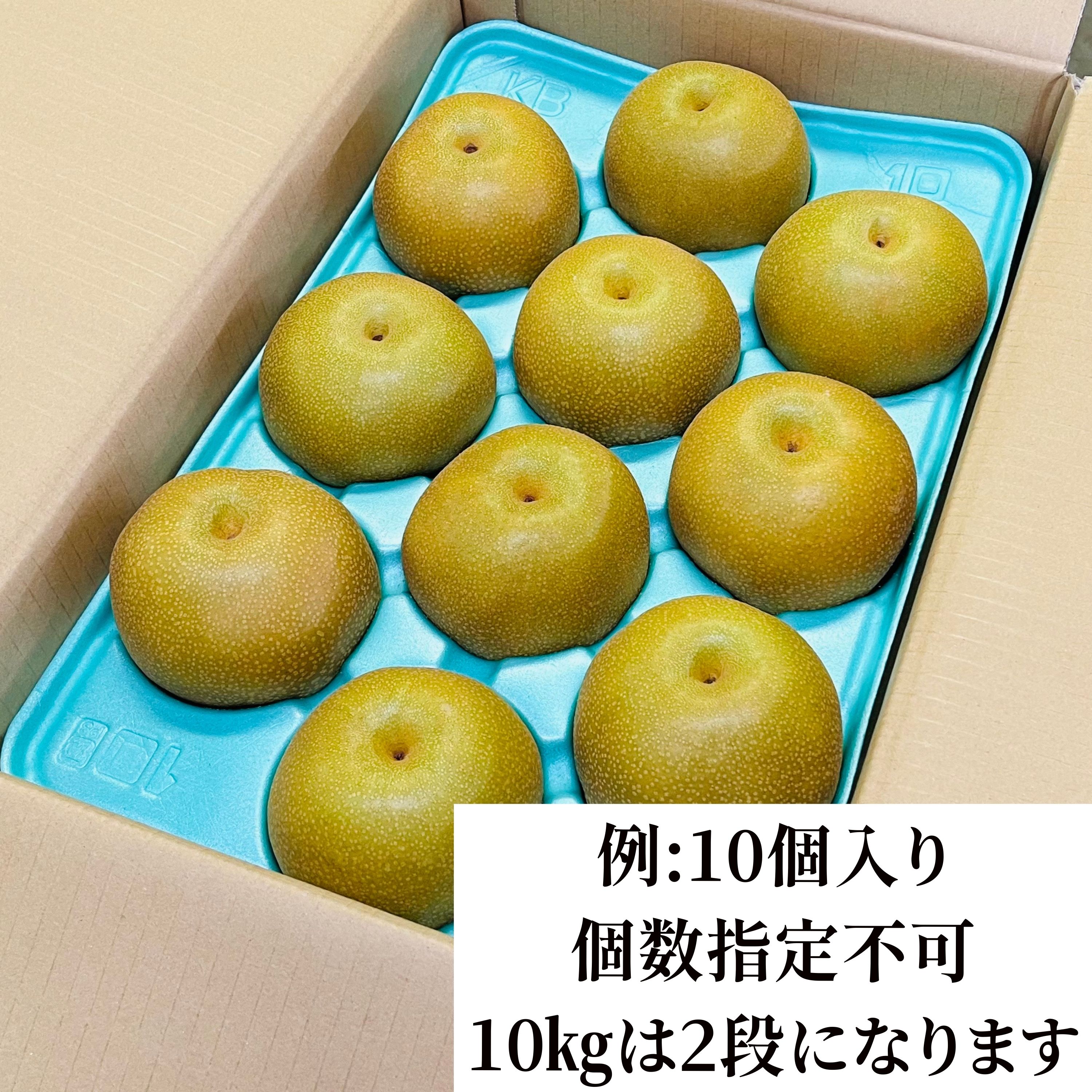 ☆専用です☆ 豊水　規格外　10kg +5kg 予約】豊水｜約10㎏｜ご自宅用｜訳あり品｜B級品｜送料込み（沖縄県を