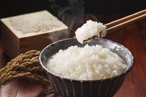 玄米10キロ|R7年新米|減農薬米|農家直送一等米|宮城県産ひとめぼれ
