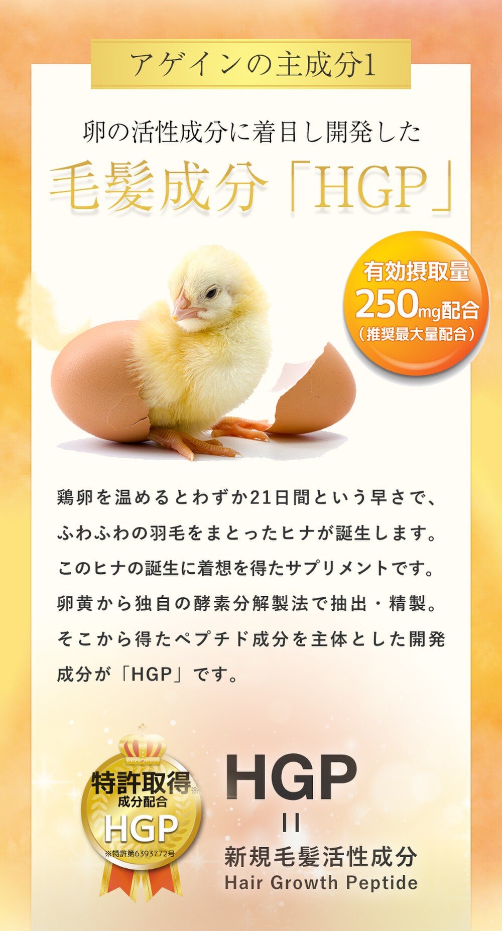 6ヵ月おまとめプラン|育毛サプリ|アゲインAGAIN|送料無料