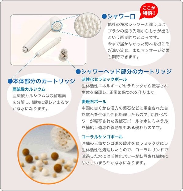 送料無料】【光のシャワーで健康に！】 ガイアの水135 シャワーヘッド