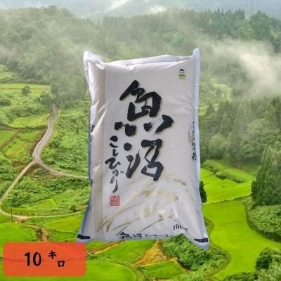 令和7年産/精米/10k×6回/リザーブ便/配達日フリー/魚沼産コシヒカリ