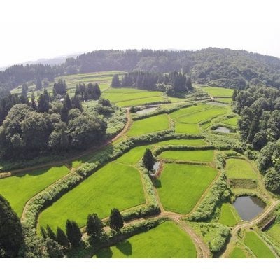 棚田のオーナー制度/魚沼産コシヒカリ/棚田/新潟/小千谷/農業体験