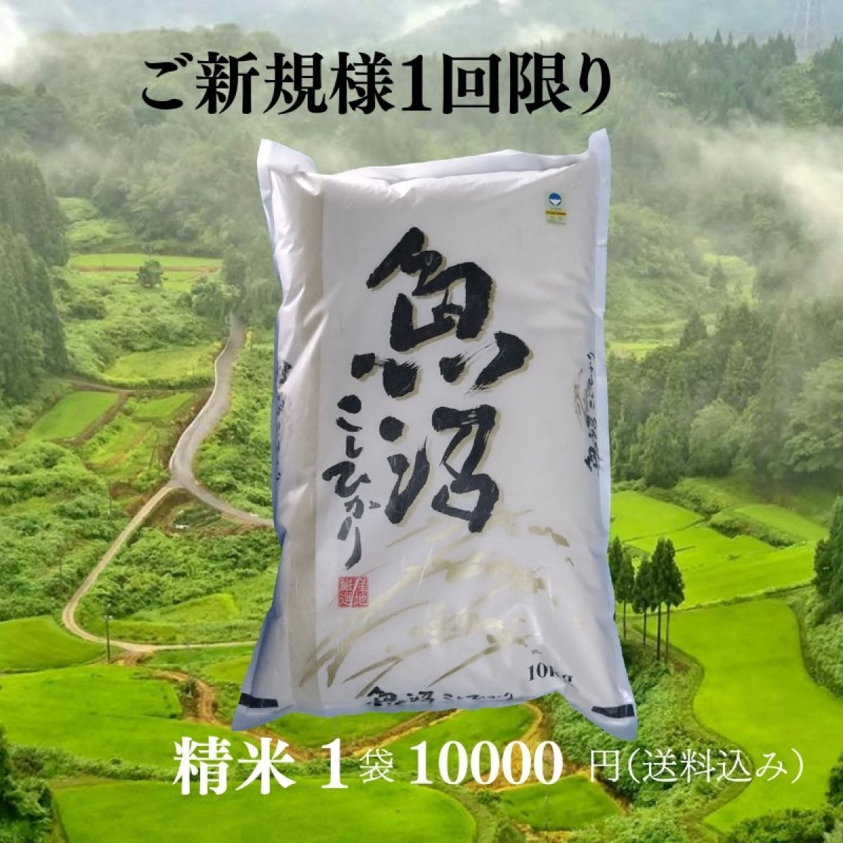 【ご新規様限り】精米10kg（成人約2人分/月）
