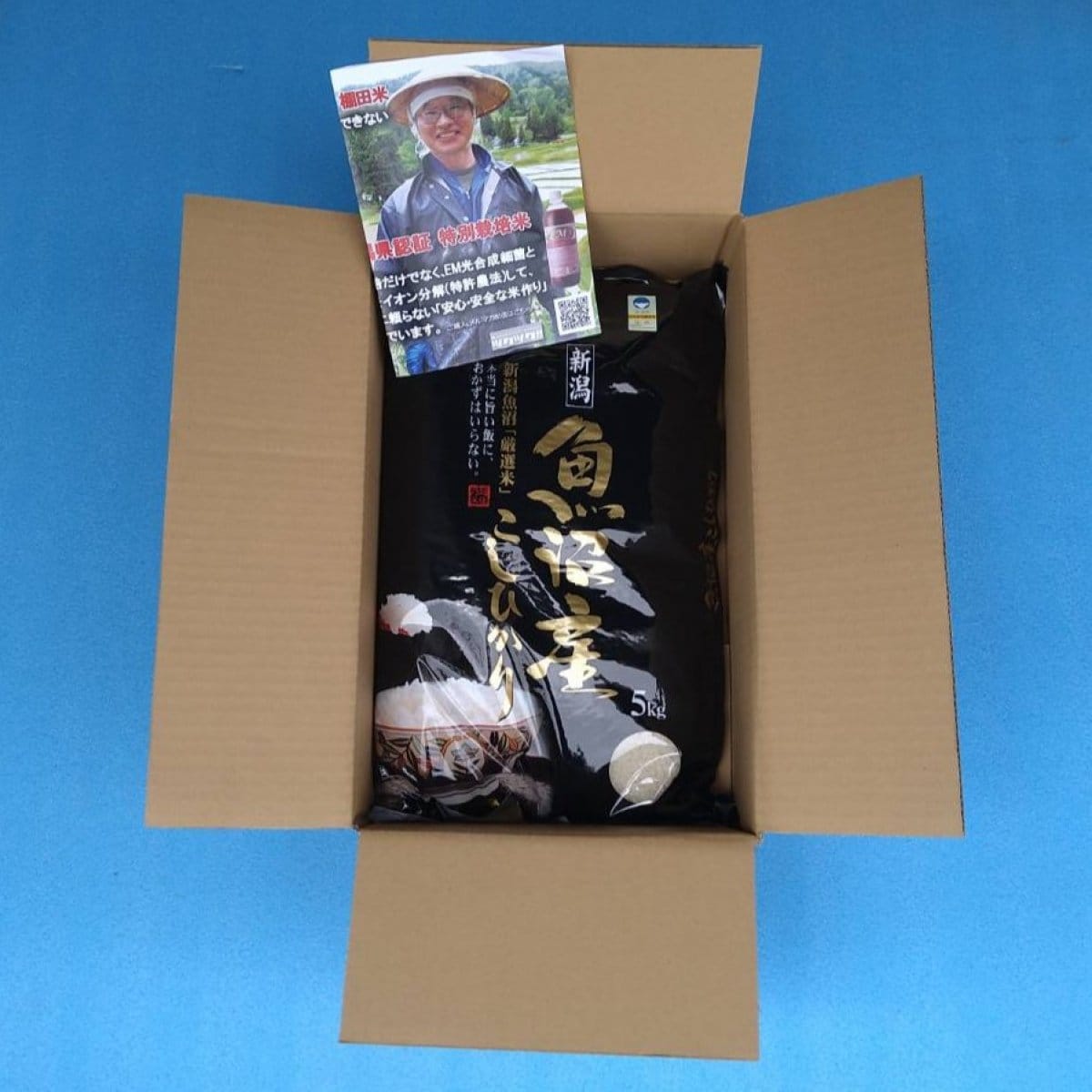 【K様専用】精米 ５kg×2袋/魚沼産コシヒカリ/棚田米