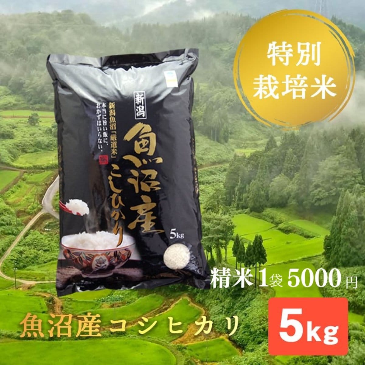 【残留農薬ゼロ】精米 ５kg（成人の方約1ヶ月）/魚沼産コシヒカリ/棚田米