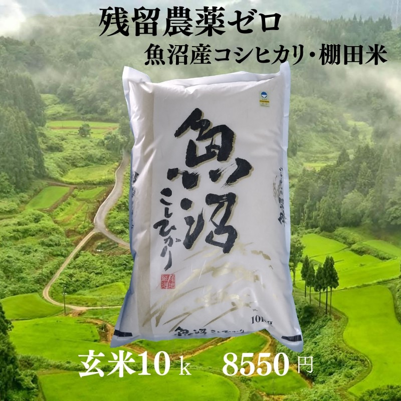 カ*オ様 南魚沼産（棚田の天日干し米）令和7年度産新米 コシヒカリ 玄米 30k 新米予約】玄米10kg/魚沼産コシヒカリ・棚田米