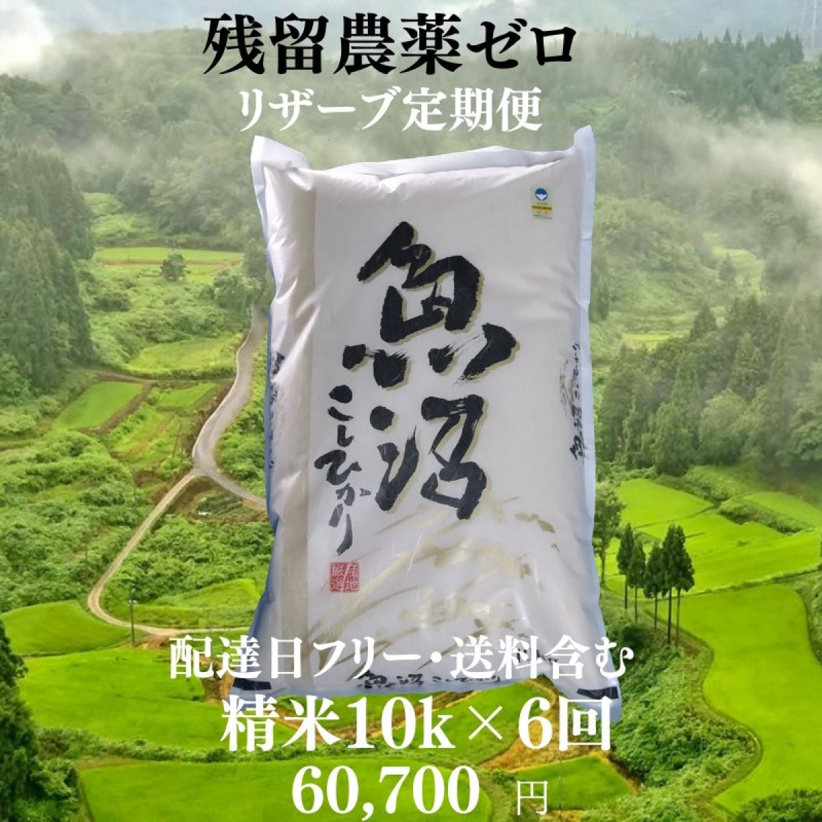 令和7年産/精米/10k×6回/リザーブ便/配達日フリー/魚沼産コシヒカリ