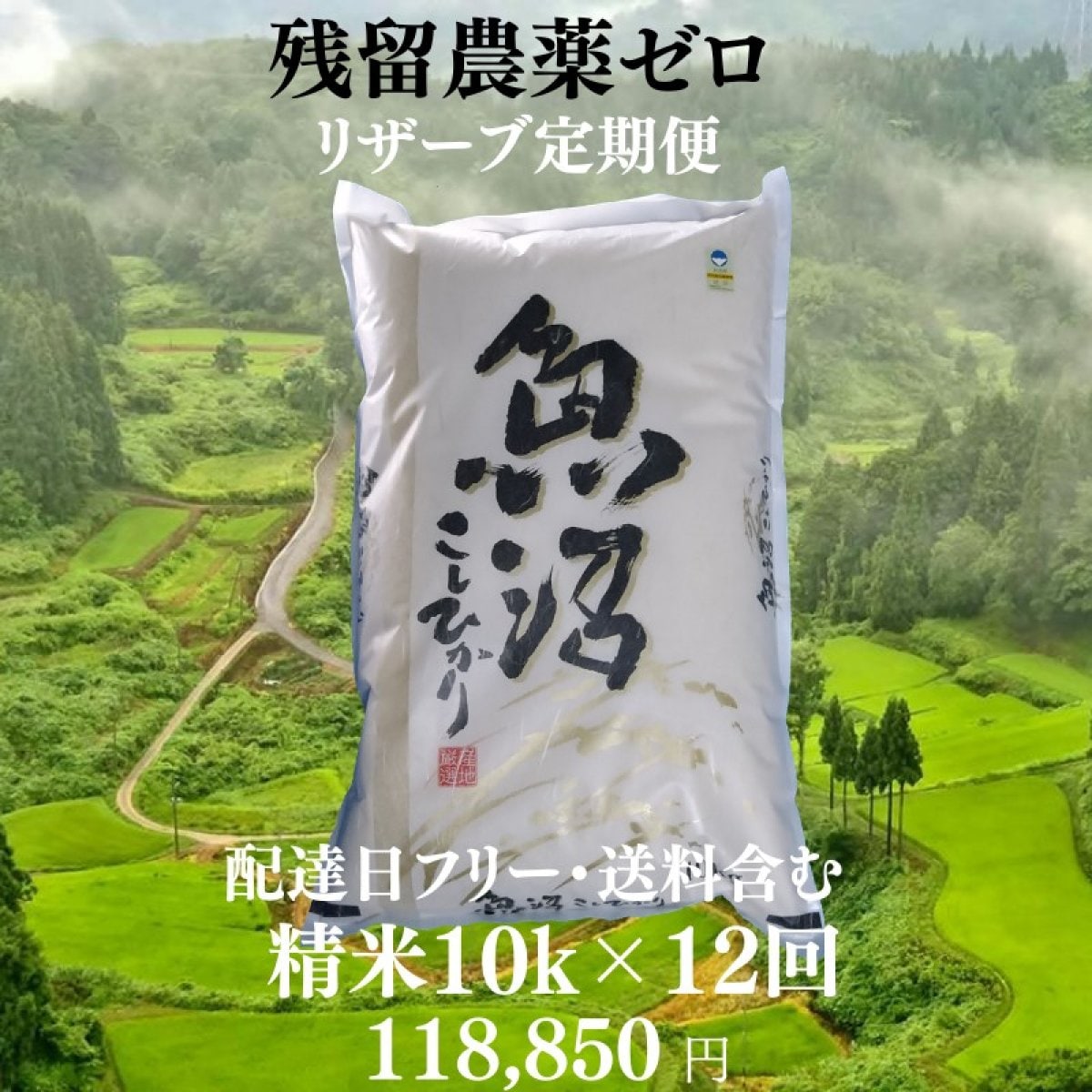 【令和７年産】精米/10k×12回/リザーブ便/配達日フリー/魚沼産コシヒカリ