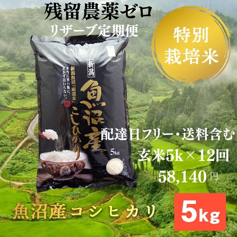 飲料・酒 sho太 様 専用ニッカウヰスキー シングルモルト余市