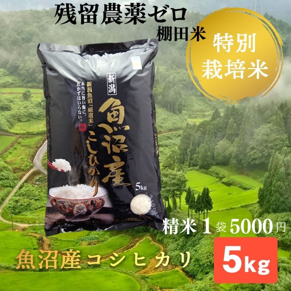 【残留農薬ゼロ】精米 ５kg（成人の方約1ヶ月）/魚沼産コシヒカリ/棚田米