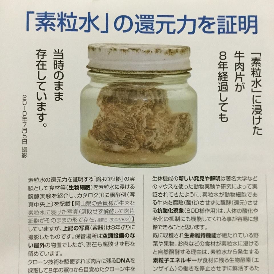 浄水器 キッチン用 台所用 フリーサイエンス「ワンウォーターECO」