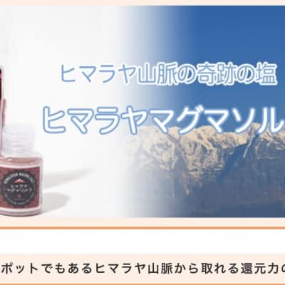 【和伝健康道】健康経営サポート【企業・グループ向け食生活改善ダイエット＆ファスティングセミナー】