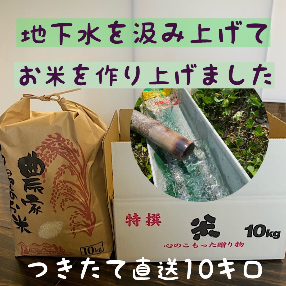 お米１０キロ Amazon.co.jp: 徳用米 (10kg) : 食品・飲料・お酒
