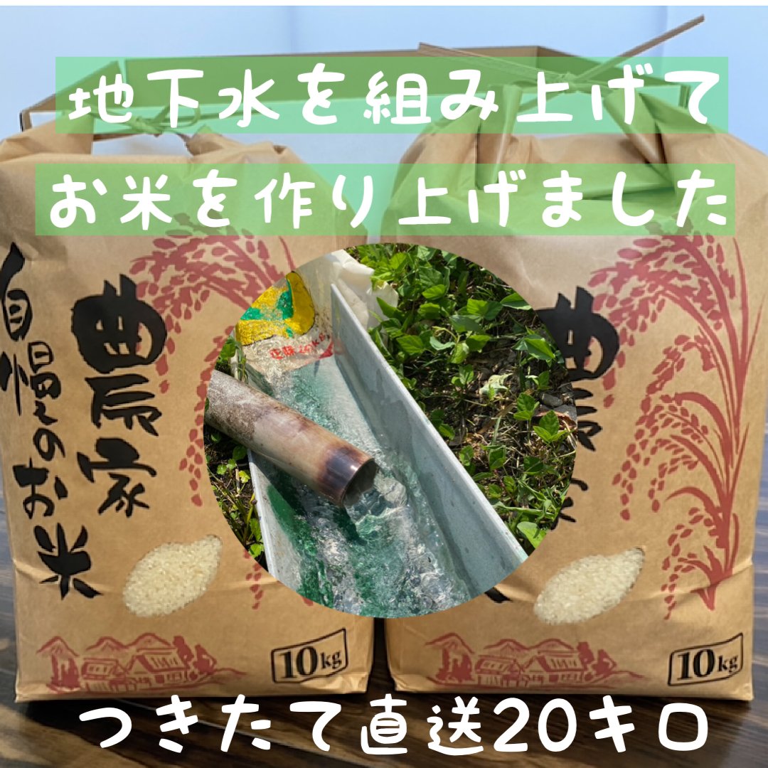兵庫県多可町産（20㎏)【コシヒカリ】こだわりの米整骨院の先生が水に