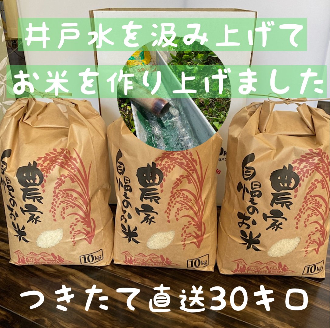兵庫県産コシヒカリ玄米30㎏ Amazon.co.jp: 令和7年度産 新米 コシヒカリ 兵庫県産 おこめ 精米前