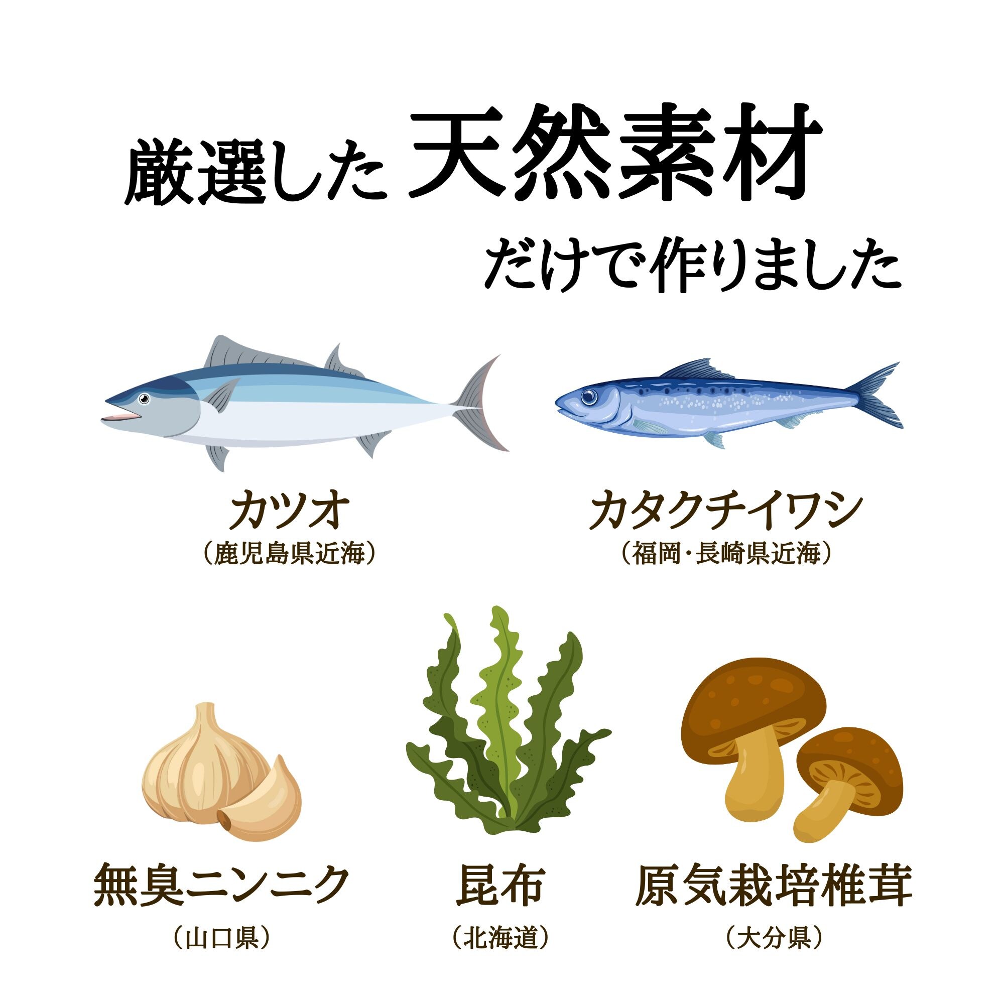 天然素材100％ だし＆栄養スープ