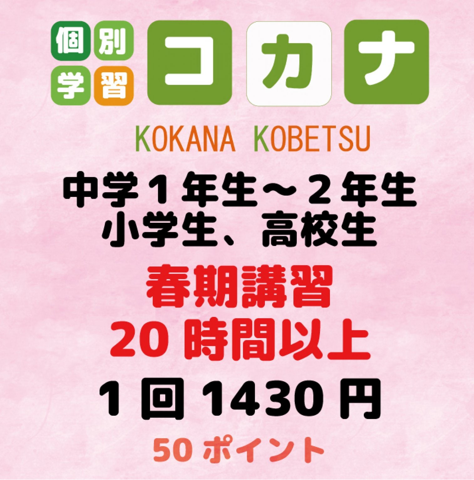 【現地払い専用】小学生、中学１年生～２年生、高校生　春季講習　20時間以上　チケット