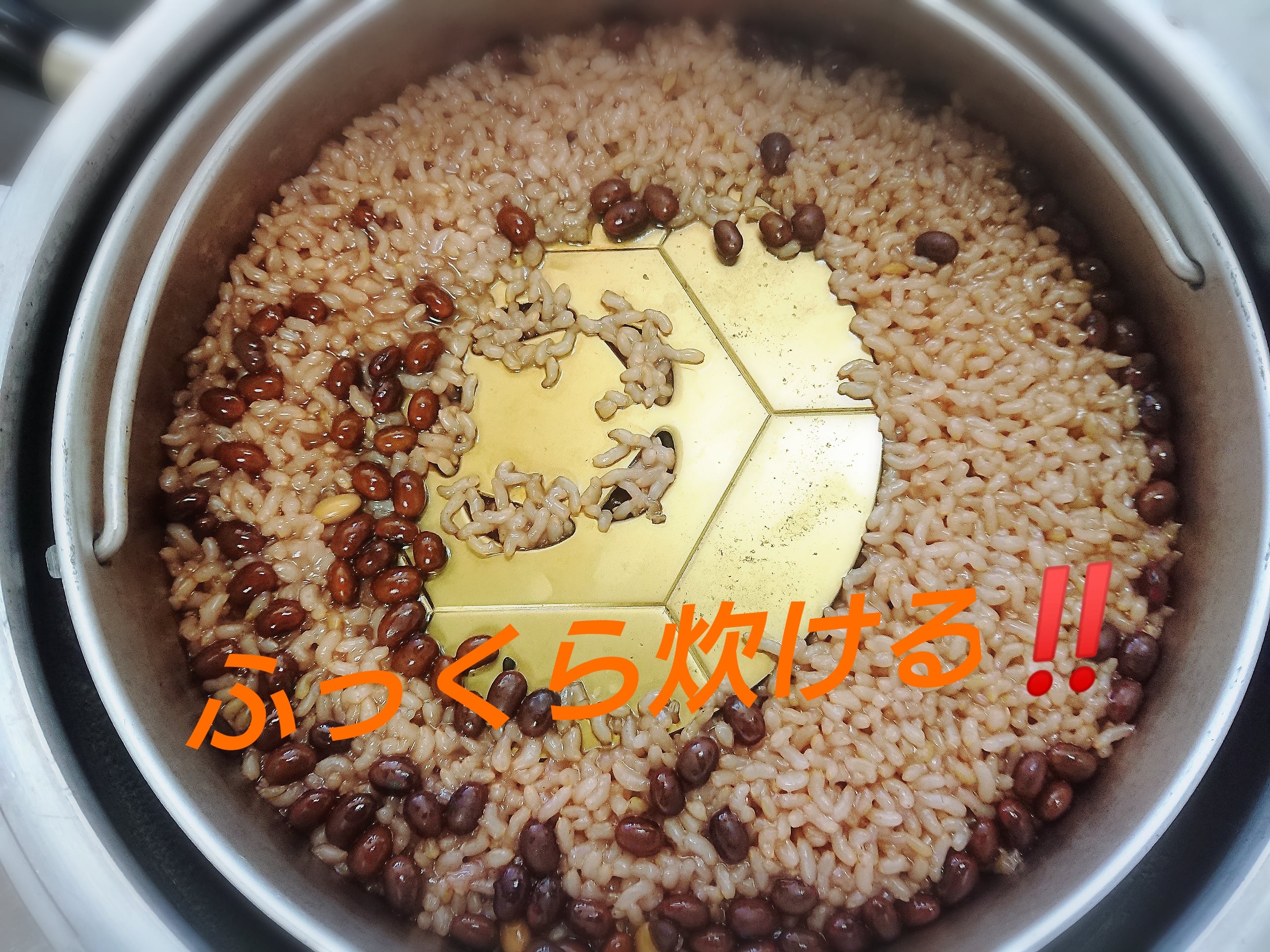 FTWビューラプレート