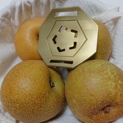 FTWGフォーグ2個セット