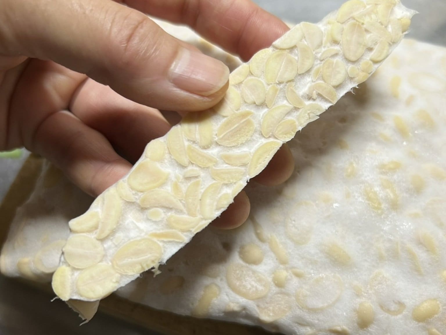 9/5㈯10:30~14:00発酵を楽しむテンペ作りワークショップ元住吉