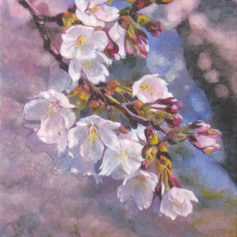 日本画】佐藤宏三画伯 「桜花」No.5