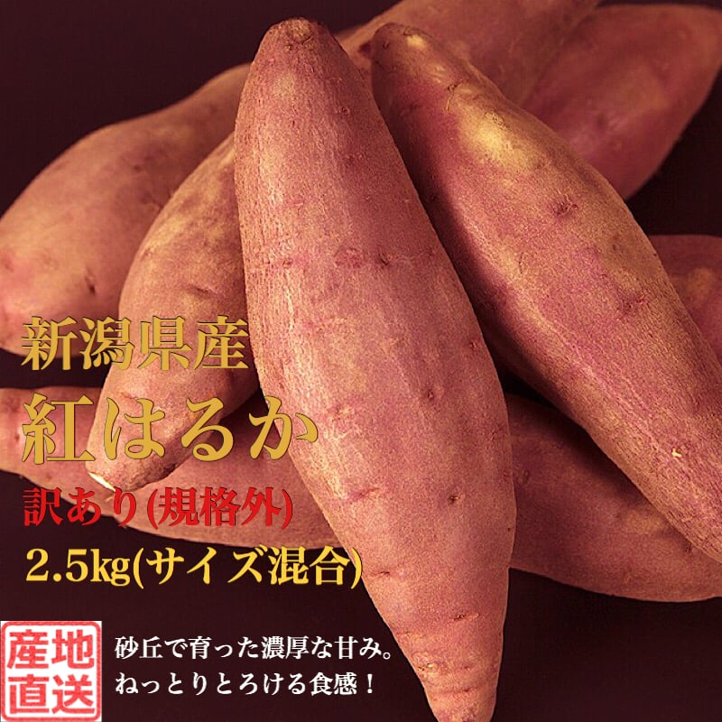 0000043744_20181031_004522_869