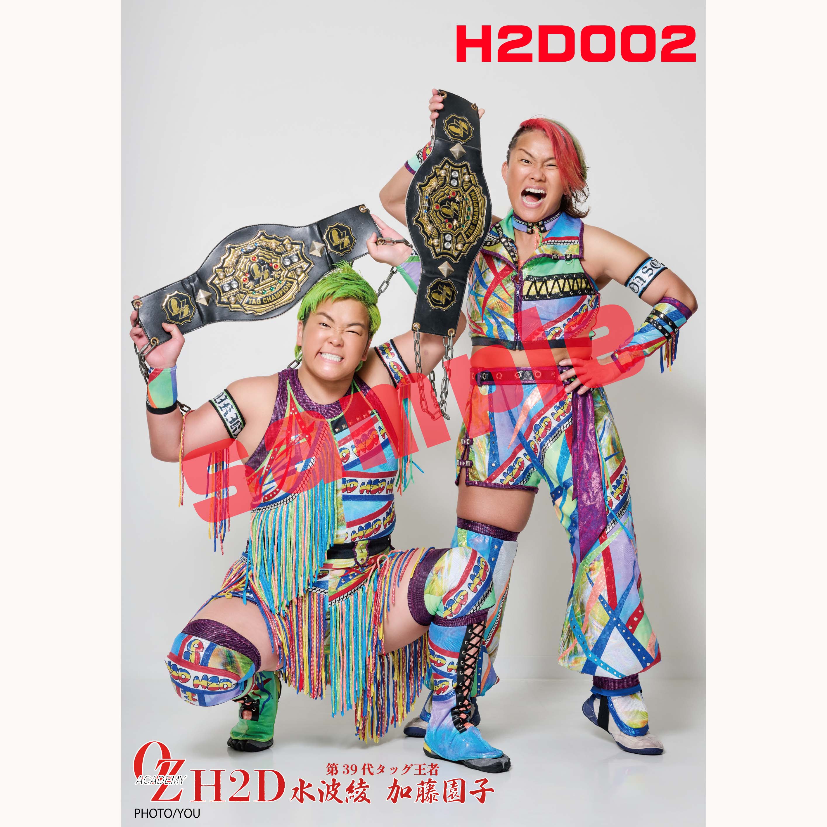 ﾎﾟｰﾄﾚｰﾄ][郵送用]H2Dﾎﾟｰﾄ《5種》