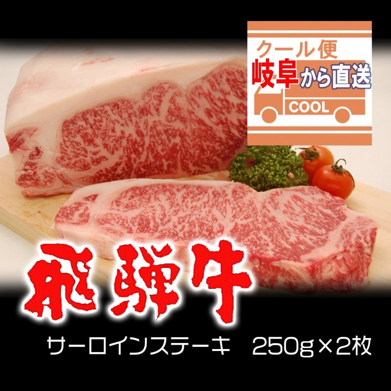 【内祝い・お返しにも最適】岐阜から直送！飛騨牛サーロイン 250g×2枚 冷凍便にてお届けいたします！