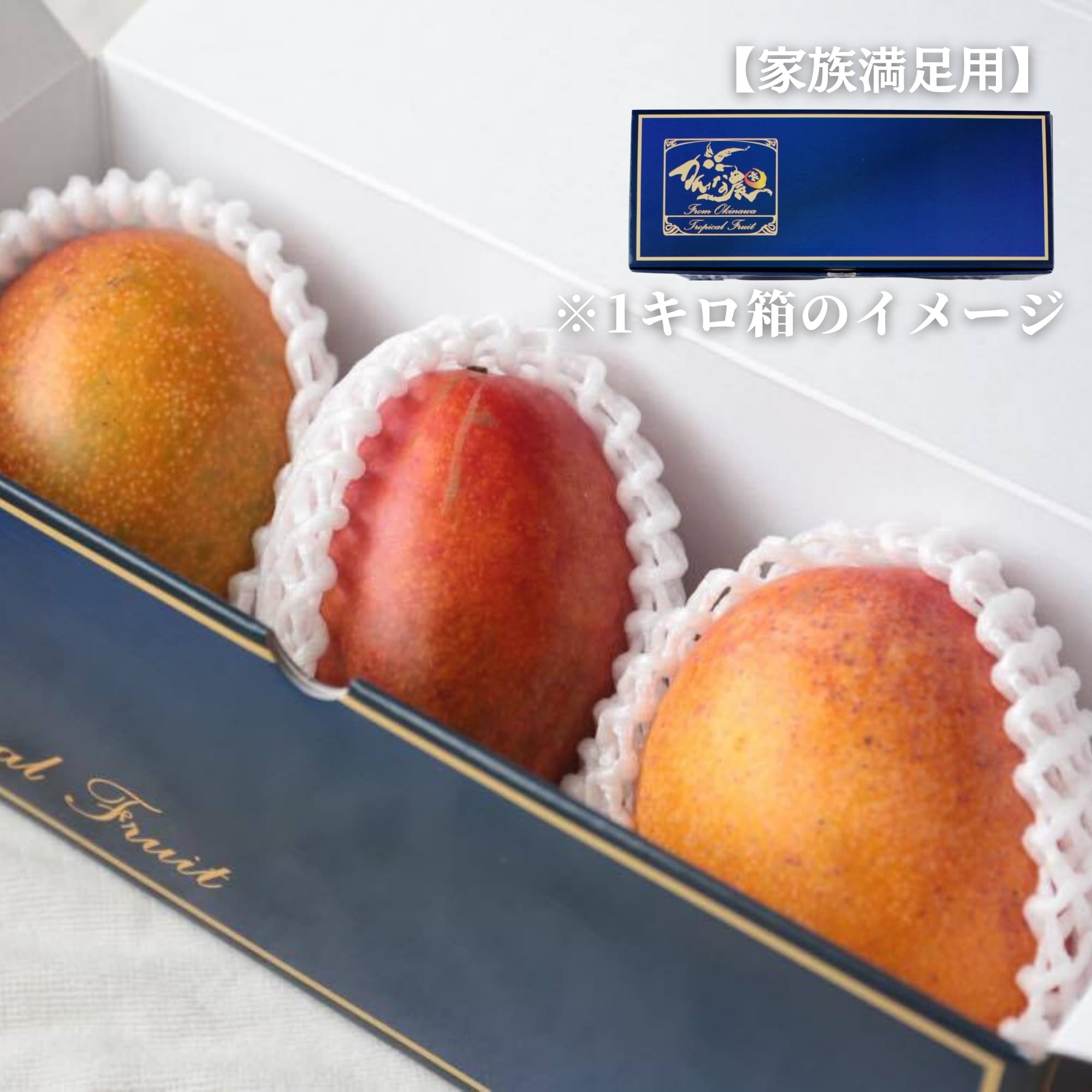 家族満足用1kg】完熟沖縄マンゴー（2〜4玉） 糸満産【クール便対応】